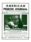 Magazine Cover